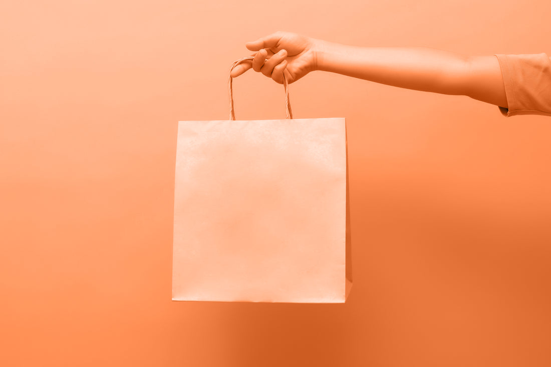 Woman hand holding a shopping bag